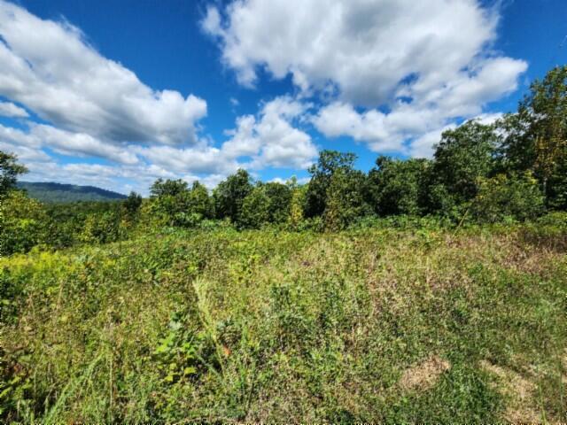 Land for sale in Jamestown, Middle Tennessee