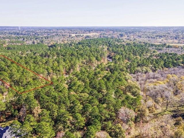 Land for sale in Walker, Texas
