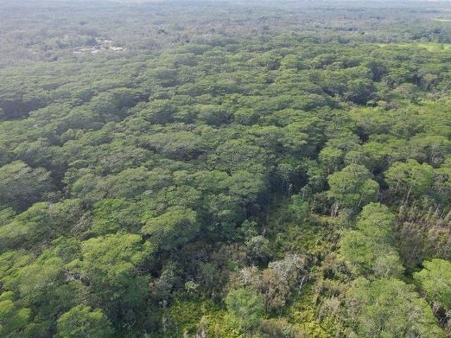 Land for sale in Pahoa, Hawaiʻi County
