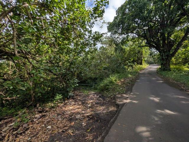 Land for sale in Pahoa, Hawaiʻi County
