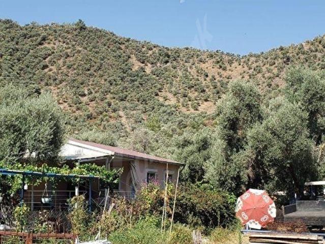 Milas, Muğla içerisinde satılık mülk