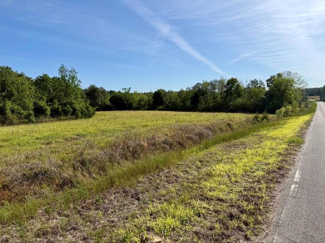 Land for sale in Florala, Alabama