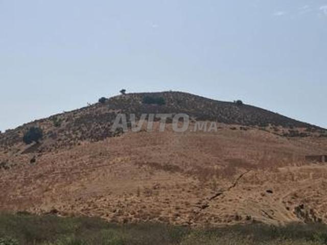 Propriété vente à Sidi Bettach, Gharb-Chrarda-Beni Hssen