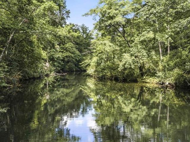 Land for sale in Mentone, Alabama