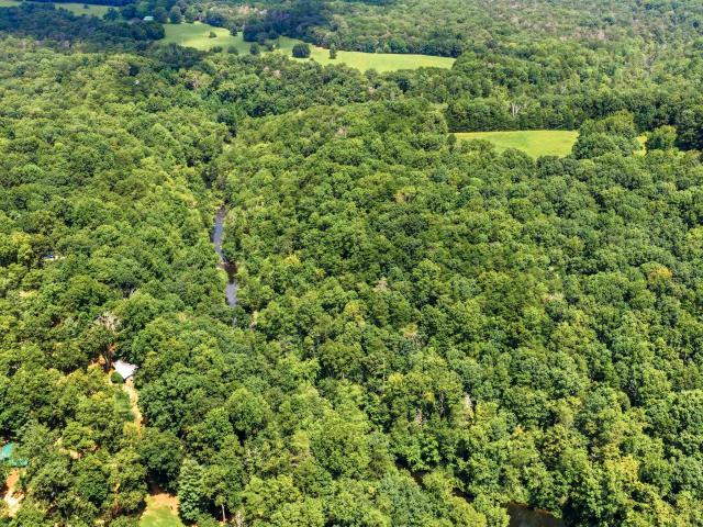 Land for sale in Mentone, Alabama