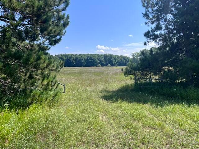 Land for sale in Michigan