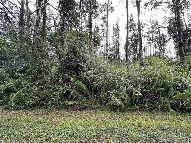 Land for sale in Pahoa, Hawaiʻi County