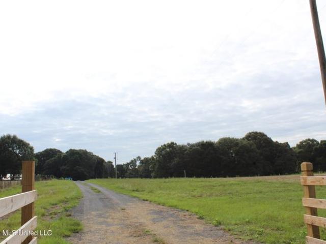 Land for sale in Lucedale, Mississippi