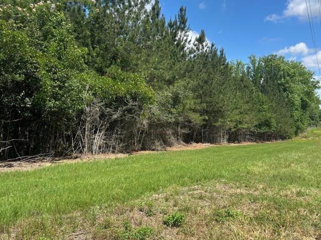 Land for sale in Glennville, Georgia