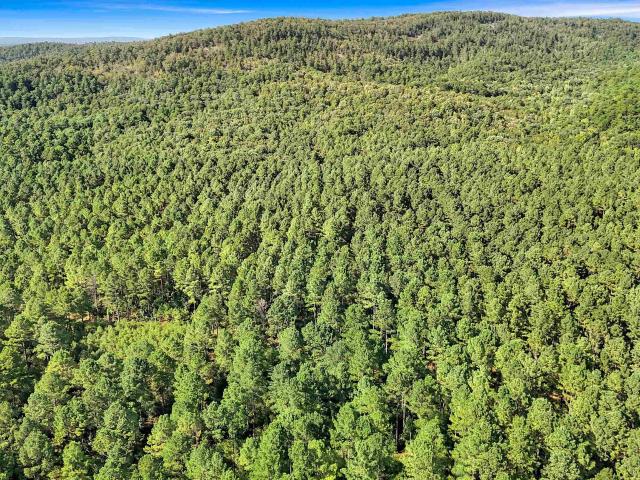 Land for sale in Ark