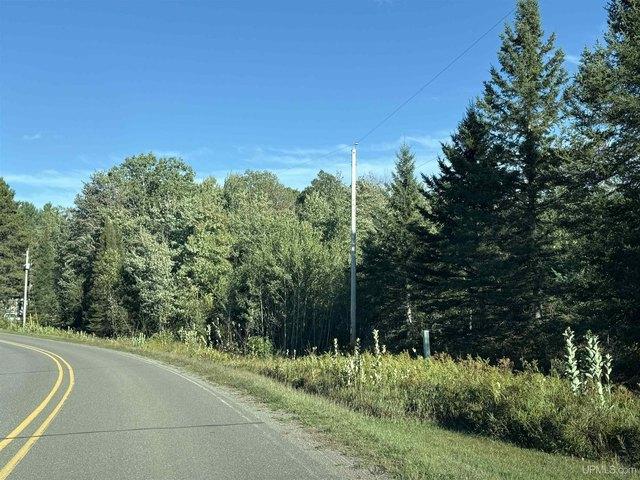 Land for sale in Crystal Falls, Michigan