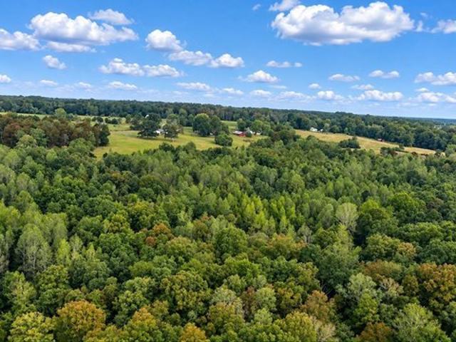 Land for sale in Fort Payne, DeKalb County
