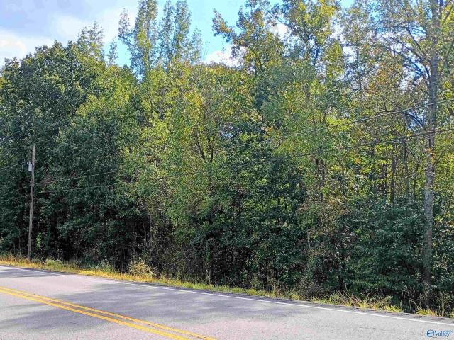 Land for sale in Fort Payne, DeKalb County