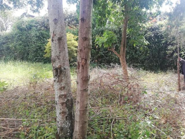 Land for sale in Kiambu