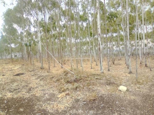 Land for sale in Ongata Rongai, Kajiado