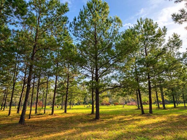 Land for sale in Picayune, Mississippi