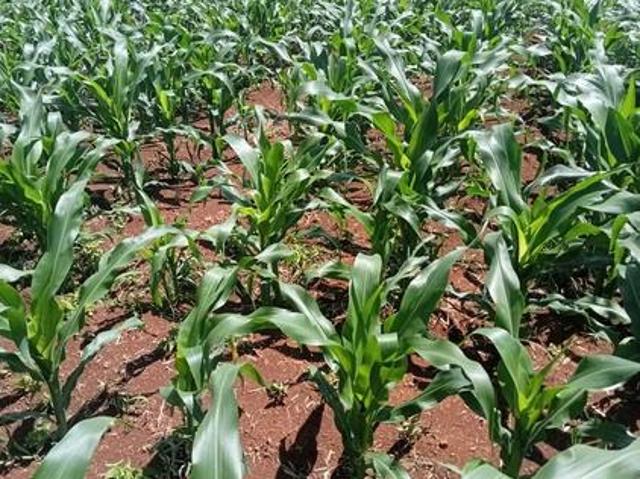 Land for sale in Laikipia