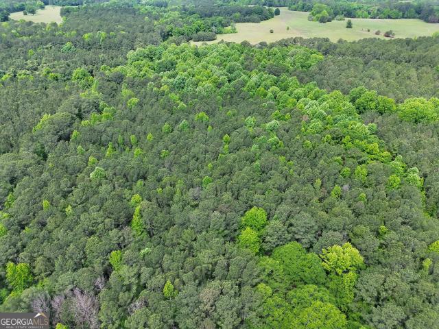 Land for sale in Georgia