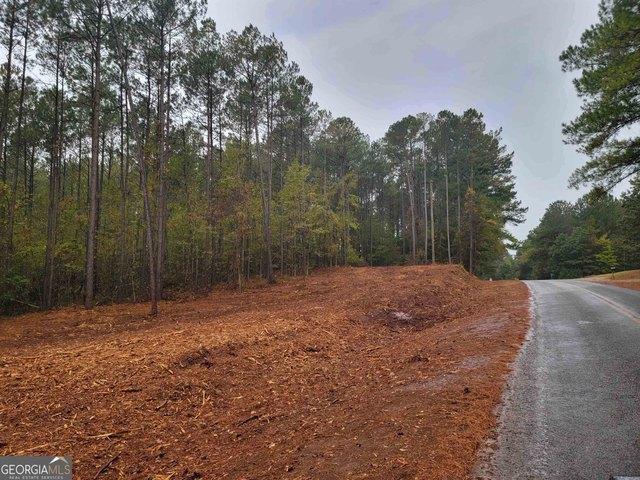 Land for sale in Flovilla, Georgia