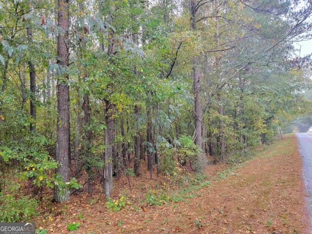 Land for sale in Flovilla, Georgia