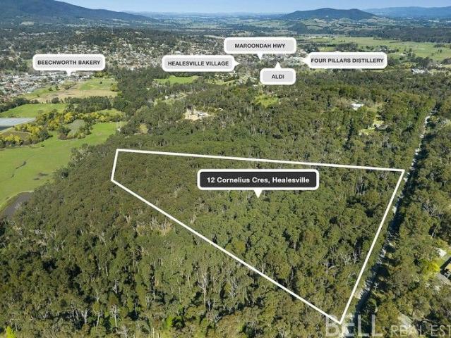 Land for sale in Camerons Creek, Victoria