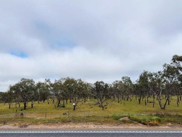 Land for sale in Broomehill West, Broomehill Village