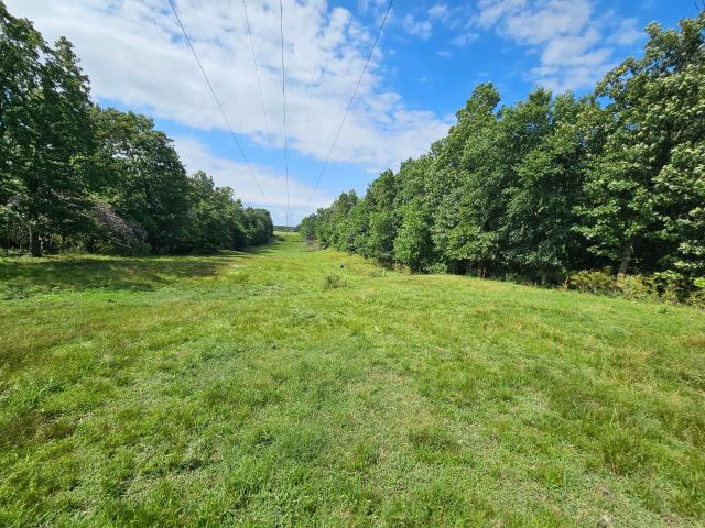 Land for sale in Anderson, McDonald County