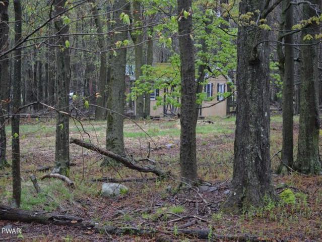 Land for sale in Newfoundland, Pennsylvania