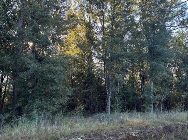 Land for sale in Donalsonville, Georgia