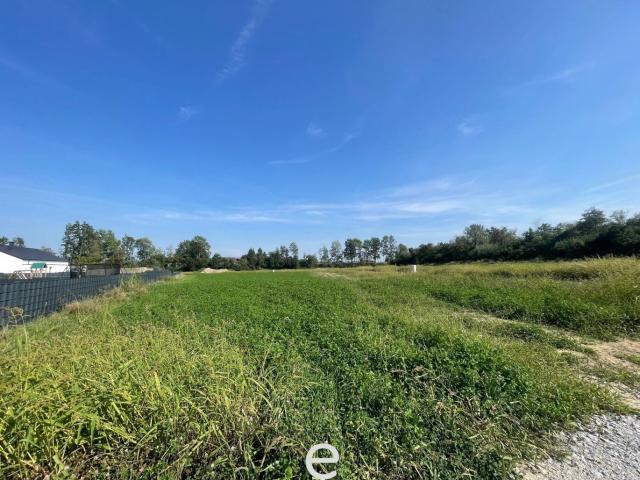 Grundstück kaufen in Taufkirchen an der Pram, Oberösterreich