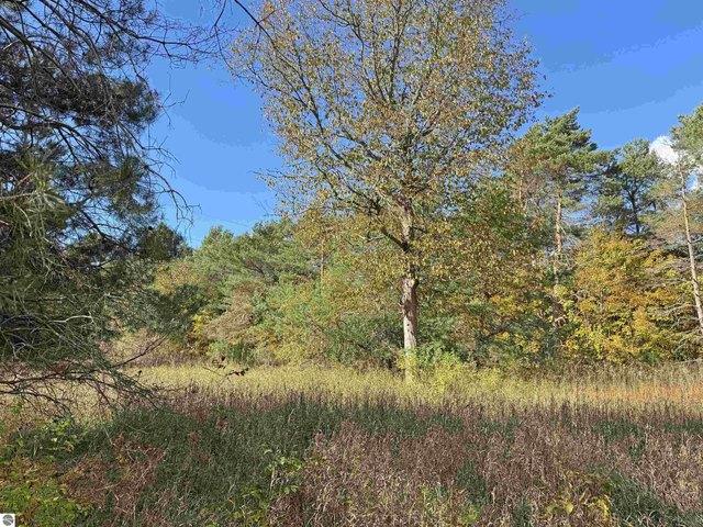 Land for sale in Beulah, Benzie County