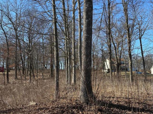 Land for sale in Ekron, Kentucky