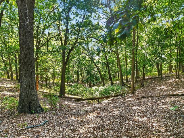 Land for sale in Missouri
