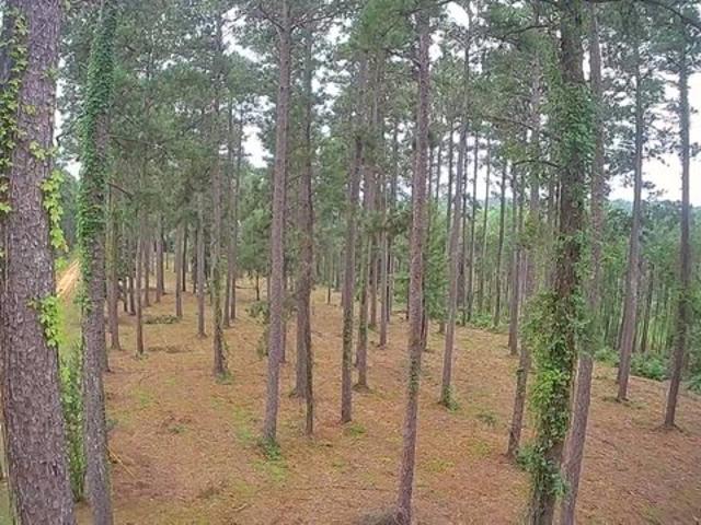 House for sale in Jena, Louisiana