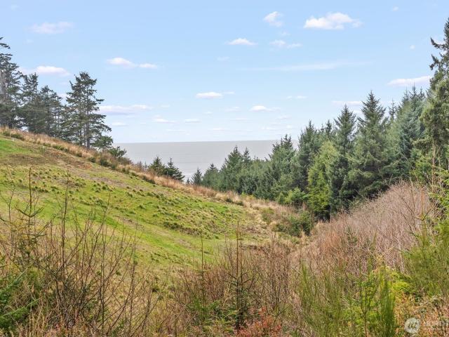 Land for sale in Copalis Beach, Washington