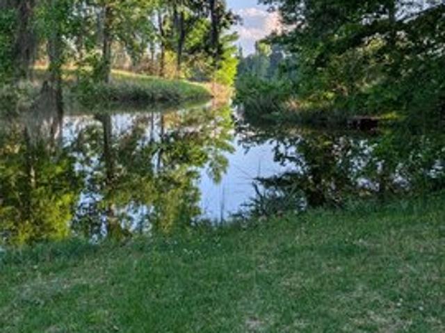 Land for sale in Orrville, Alabama