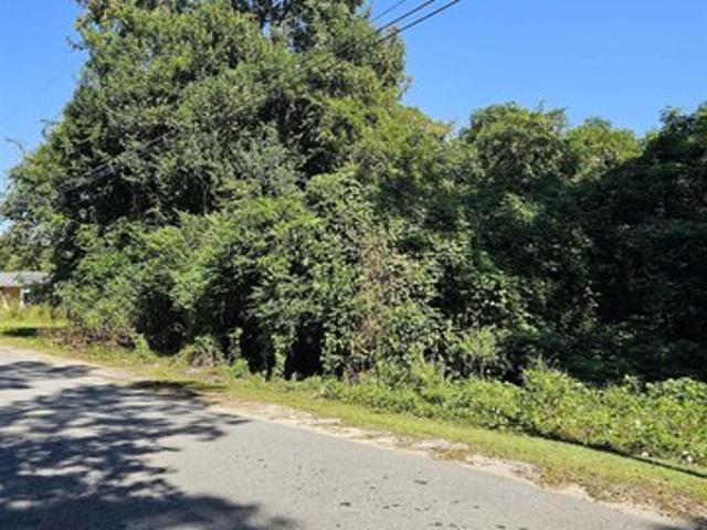 Land for sale in Manning, Clarendon County