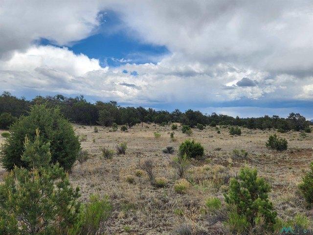 Land for sale in Catron, New Mexico