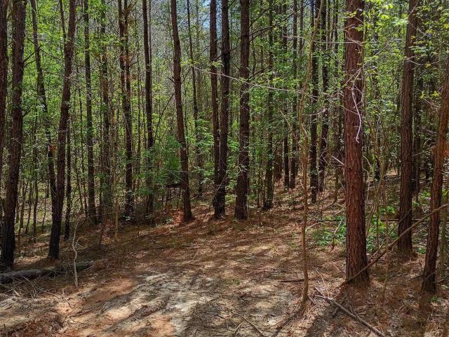 Land for sale in Coosa, Alabama