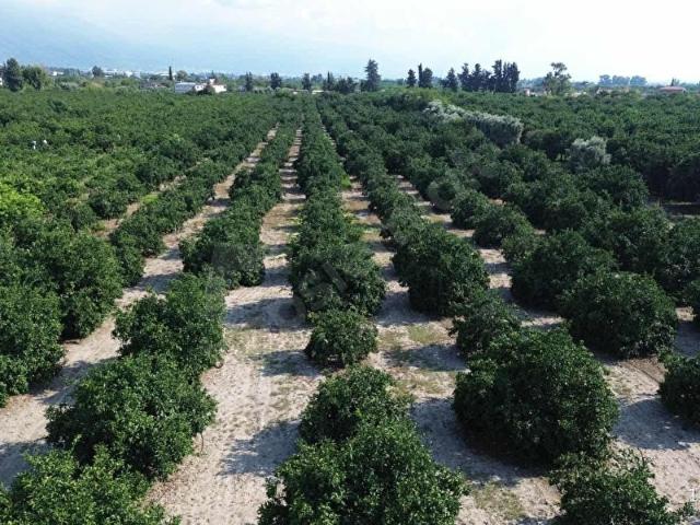 Dörtyol, Hatay içerisinde satılık mülk