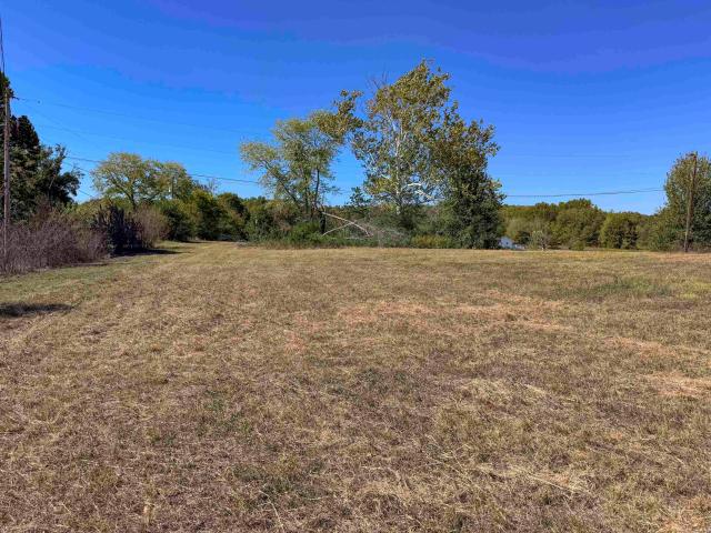 Land for sale in Quitman, Cleburne County