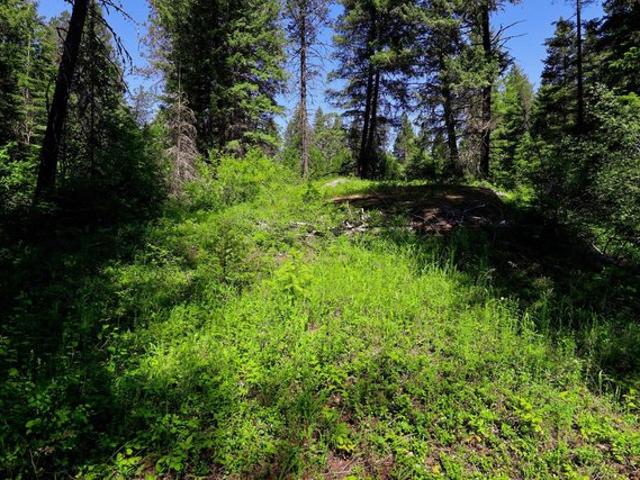 Land for sale in Newport, Washington