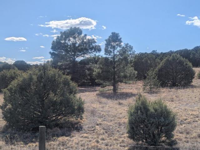 Land for sale in Placitas, New Mexico