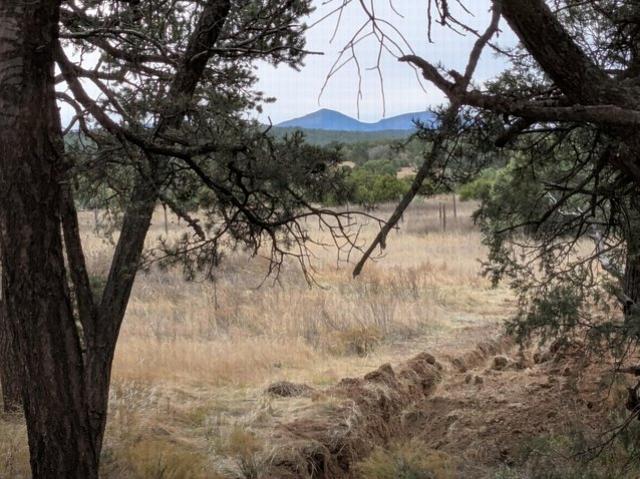 Land for sale in Placitas, New Mexico