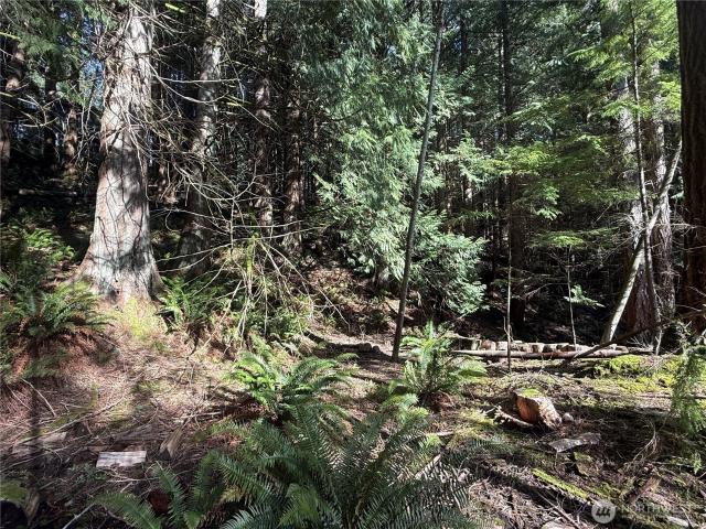 Land for sale in Washington