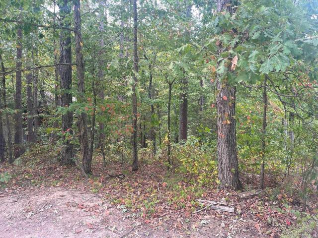 Land for sale in Ark
