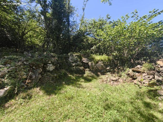 Local Comercial en venta en Santo Adriano, Asturias