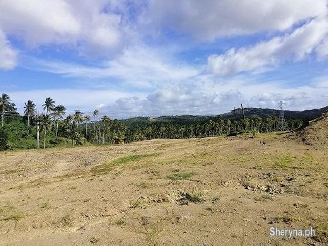 14 Hectares Lot for Sale
