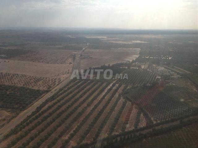 Propriété vente à Marrakech, L'Oriental