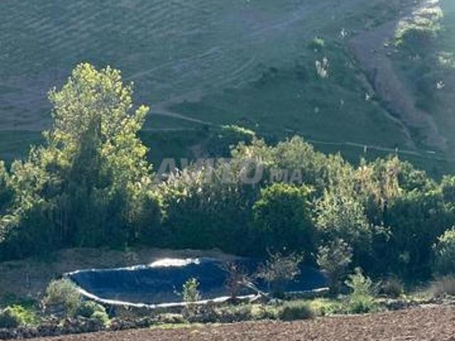 Propriété vente à Ezzhiliga